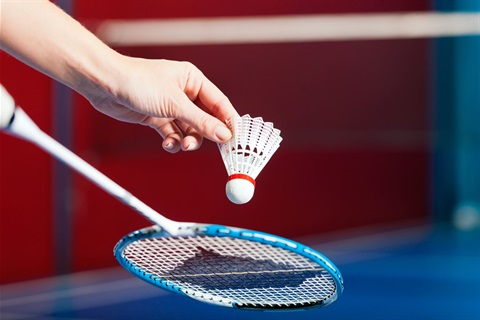 Badminton-Scone-Stadium.jpeg