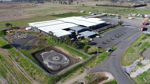 Scone Regional Livestock Selling Centre