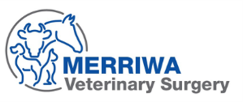 merr-vet.png